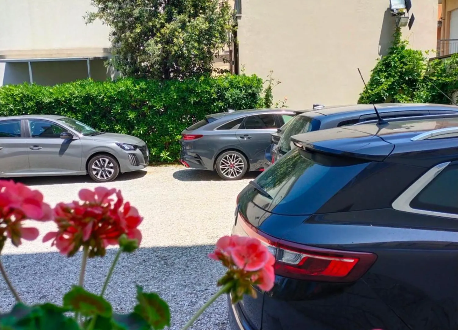 Hotel Goldene Rose Rimini 2*,